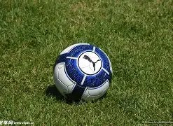 荷兰队史新,篇章,范戴克队长,神殿娱乐,神殿娱乐官方,神殿娱乐登录,神殿娱乐入口,神殿娱乐登录